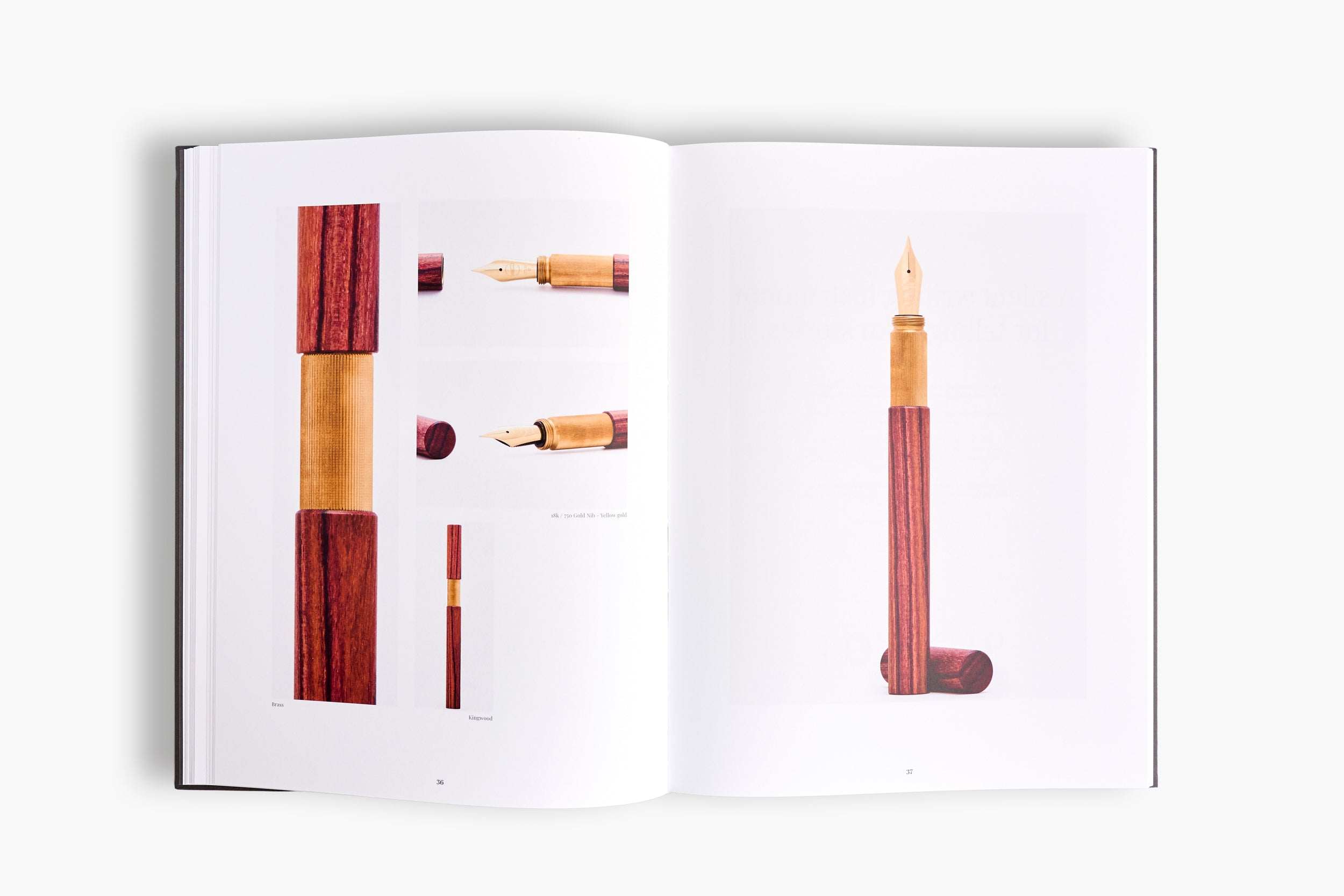 ELBWOOD - A CLOSER LOOK - Buch 2026